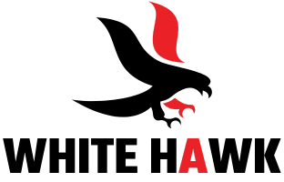 White Hawk Devs logo